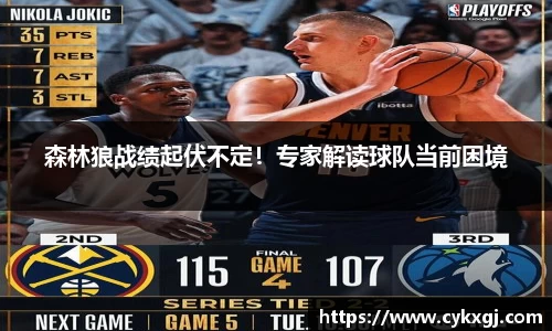 森林狼战绩起伏不定！专家解读球队当前困境