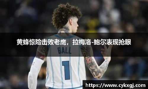 万向娱乐