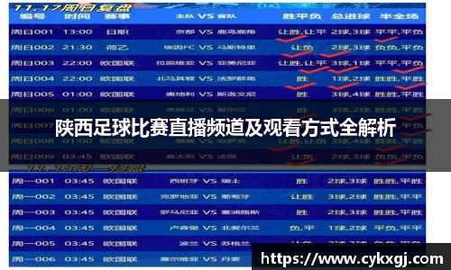 陕西足球比赛直播频道及观看方式全解析