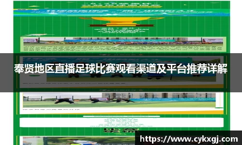 奉贤地区直播足球比赛观看渠道及平台推荐详解